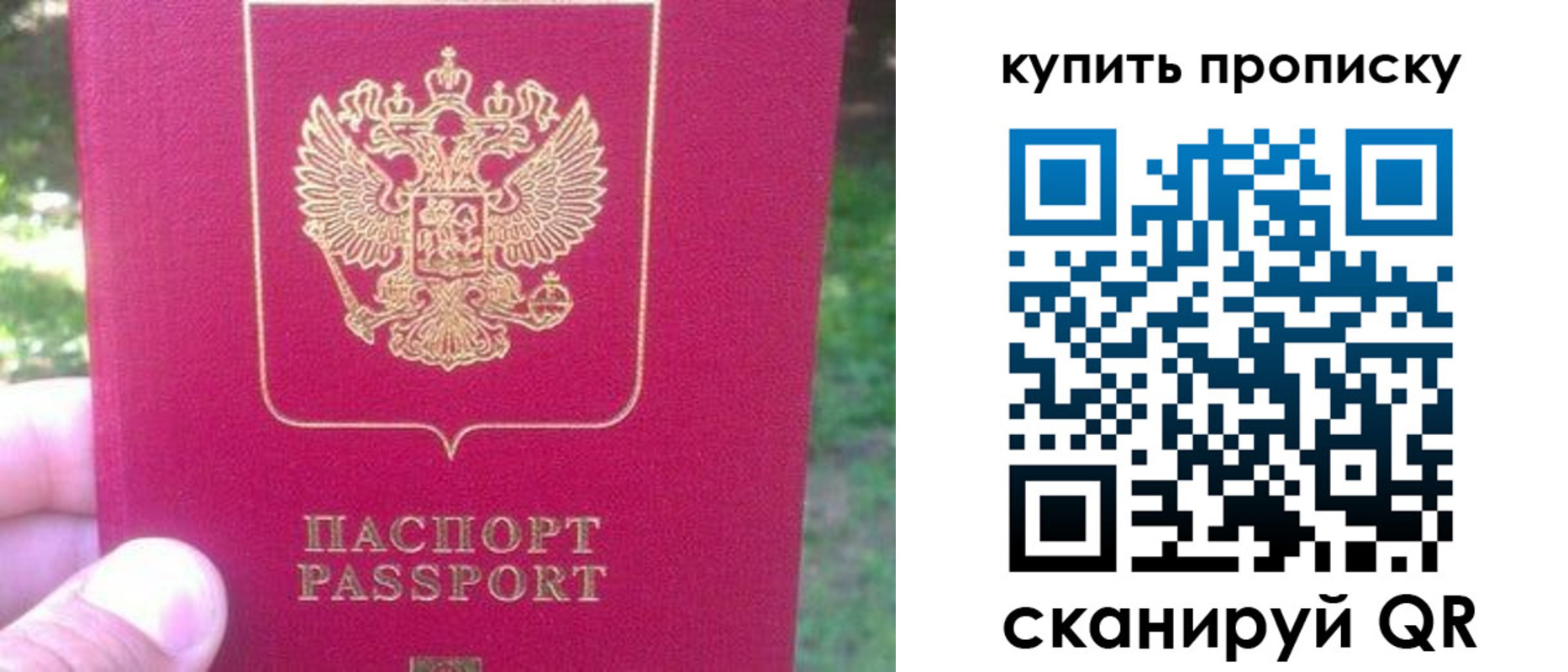 временная регистрация для школы в Сольцах